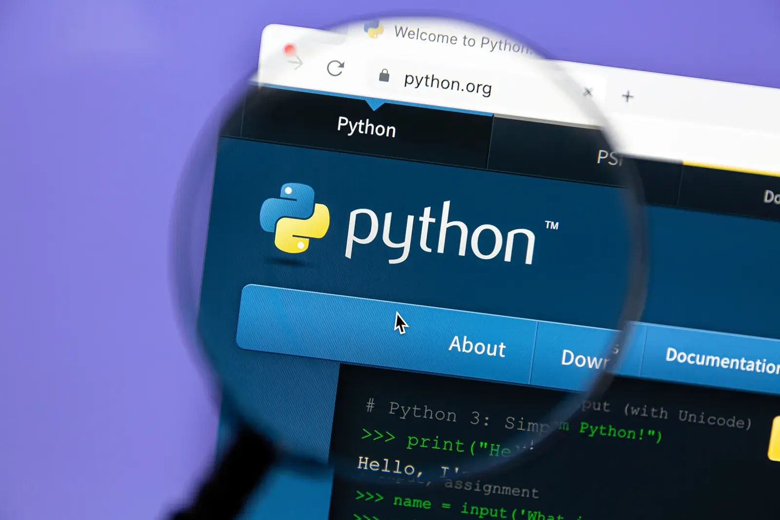 Day 1: Kickstart Your AI Journey with Python - Setting Up the Programming Environment